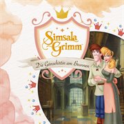 Die gänsehirtin am brunnen cover image cdn