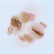 Forgettings cover image cdn