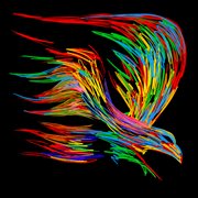 Giuramenti cover image cdn