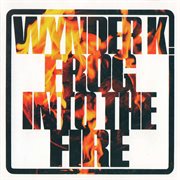 Into the fire cover image cdn