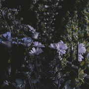 It's beautiful. cover image cdn