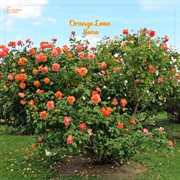 Orange love cover image cdn
