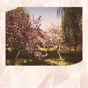 Picnic love cover image cdn