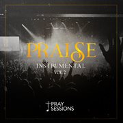 Praise instrumental, vol. 2 cover image cdn