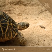 Slow motionized lofi, vol. 9 cover image cdn