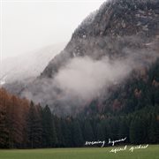 Spirit guides cover image cdn