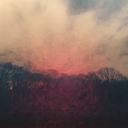 The dizzying parade cover image cdn