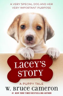 Lacey's story  cover image cdn