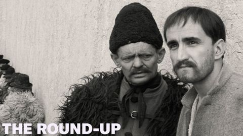 The Round-Up cover image cdn