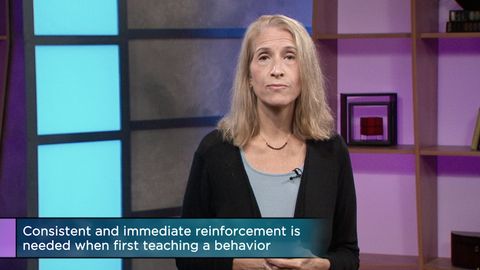 Introduction to Psychology. Episode 17, Learning: Conditioned, Reinforced, Observed cover image cdn