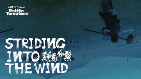 Striding Into the Wind cover image cdn