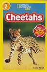 Cheetahs cover image cdn