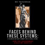Faces Behind These Systems : 3 Felonies without Committing A Single Crime, How The Government Stole My Identity cover image cdn