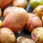 Requiem for potatoes cover image cdn