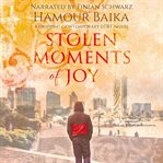 Stolen moments of joy. A Gripping Contemporary LGBT Novel cover image cdn