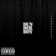 Dunderboy cover image cdn