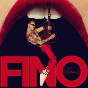 Fino cover image cdn