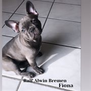 Fiona cover image cdn