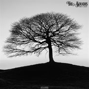 First light cover image cdn