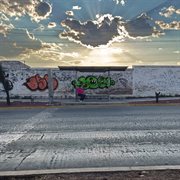 G a r d e n s cover image cdn