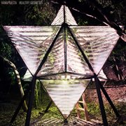 Healthy geometry cover image cdn