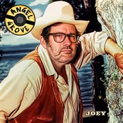 Joey cover image cdn