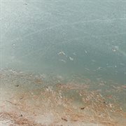 No turning back cover image cdn