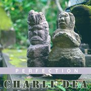 Perfection cover image cdn
