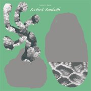 Seabed-sunbath cover image cdn