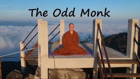 The Odd Monk cover image cdn