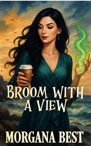 Broom with a View cover image cdn