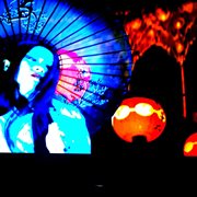 Asian texan cover image cdn