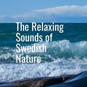 Calming ocean waves cover image cdn