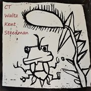 Chemtrail waltz cover image cdn