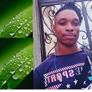 Everyday cover image cdn