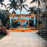 Investigation cover image cdn