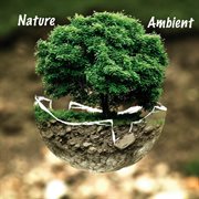 Nature ambient cover image cdn