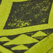 Ver dis pond cover image cdn