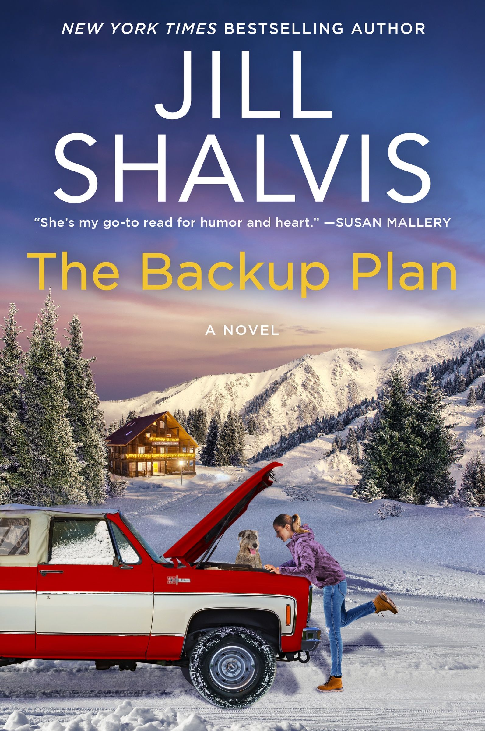 The Backup Plan cover image cdn