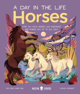Horses : what do wild horses like mustangs and ponies get up to all day?  cover image cdn