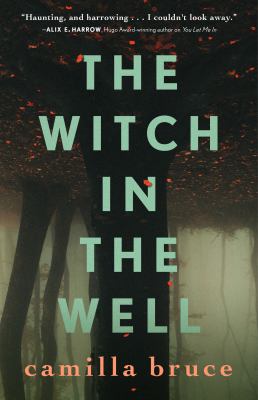 The witch in the well  cover image cdn