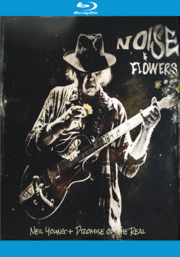 Noise & flowers cover image cdn