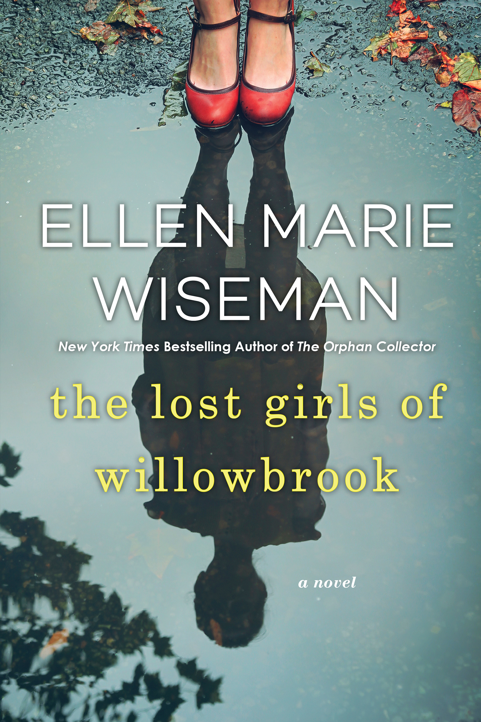 The Lost Girls of Willowbrook A Heartbreaking Novel of Survival Based on True History cover image cdn