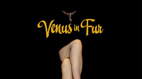 Venus in Fur cover image cdn