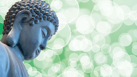 Real Zen for Real Life. Episode 11, Mind Is Buddha: If You Meet Him, Kill Him! - Meditation Checkup: Dealing with Unavoidable Pain cover image cdn