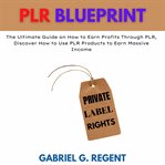 Plr blueprint : the ultimate guide on how to earn profits through PLR cover image cdn