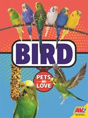 Bird cover image cdn