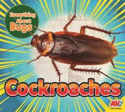 Cockroaches cover image cdn