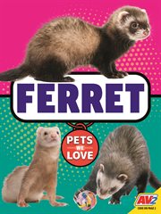 Ferret cover image cdn