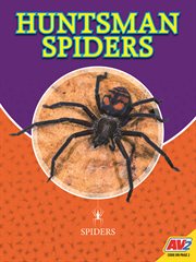 HUNTSMAN SPIDERS cover image cdn